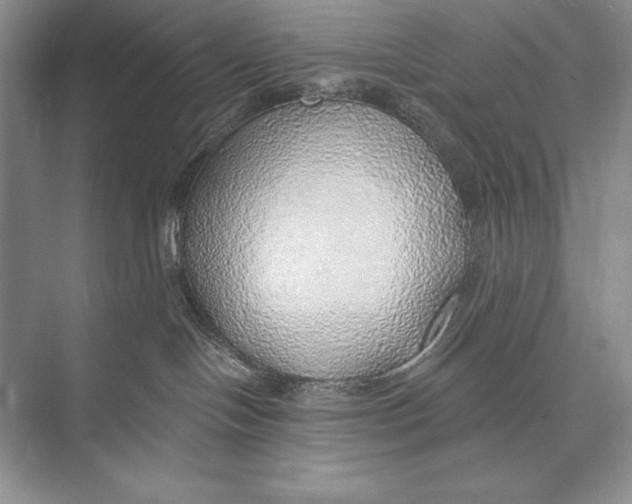 X0000074960094200609221808