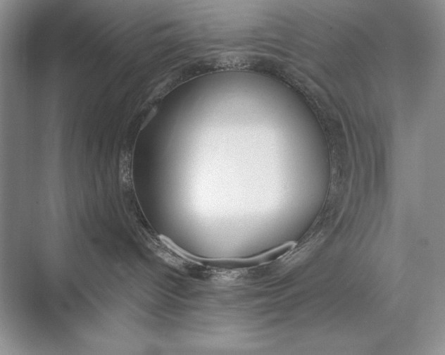 X0000074960096200609221808