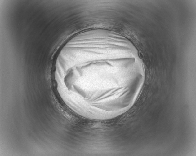 X0000074960098200609221807