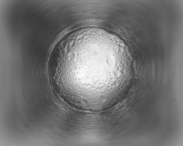 X0000074960099200609221807