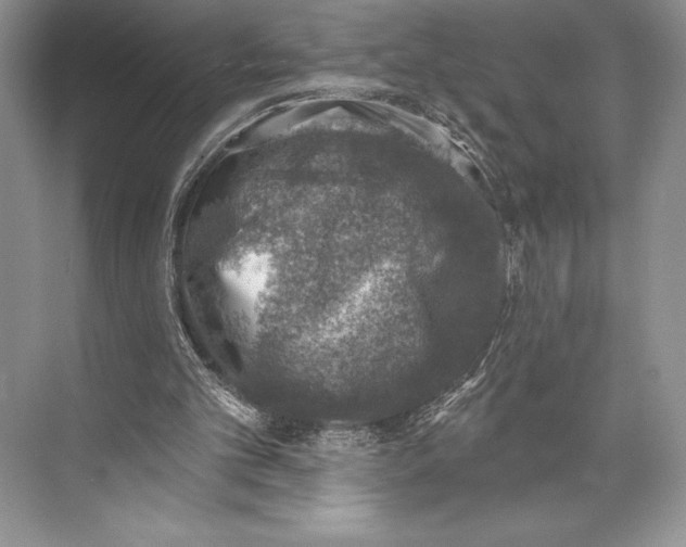 X0000074960101200609221807