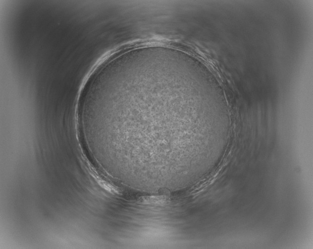 X0000074960102200609221807