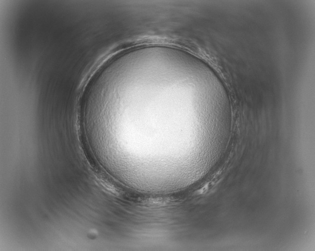 X0000074960103200609221807