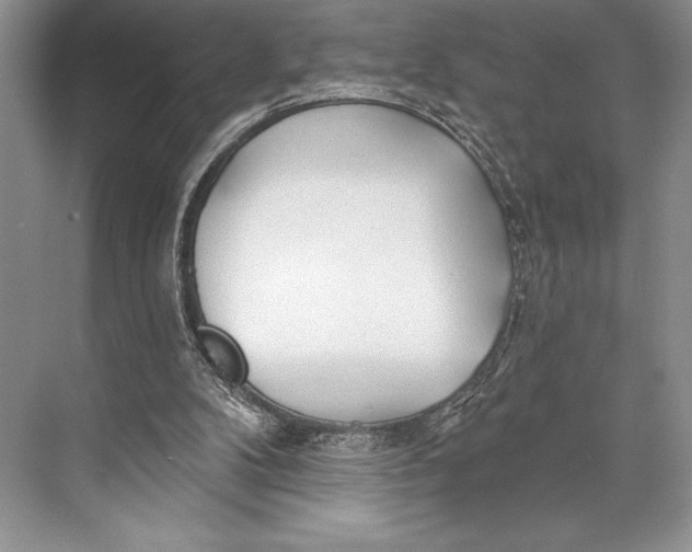 X0000074960104200609221807