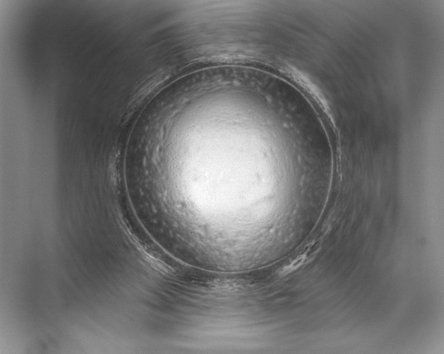 X0000074960105200609221807