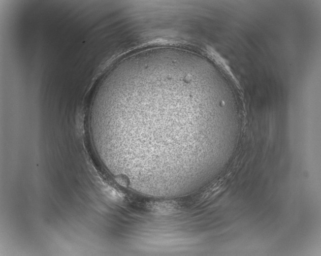 X0000074960106200609221807