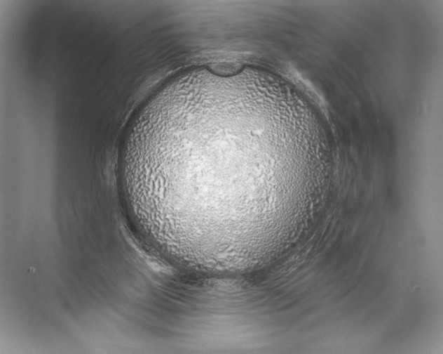 X0000074960107200609221807