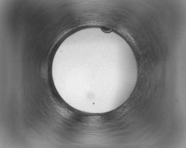 X0000074960108200609221807