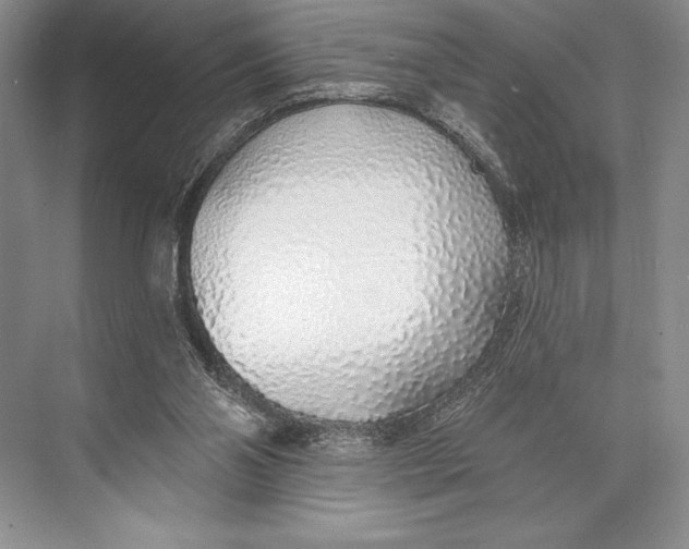 X0000074960110200609221807