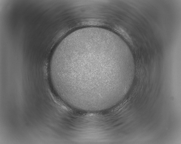 X0000074960111200609221807