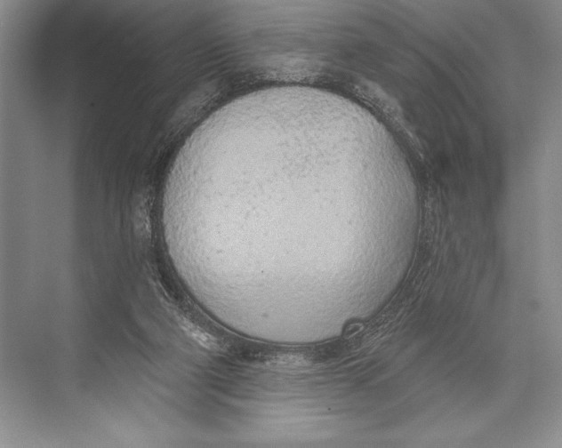 X0000074960114200609221807