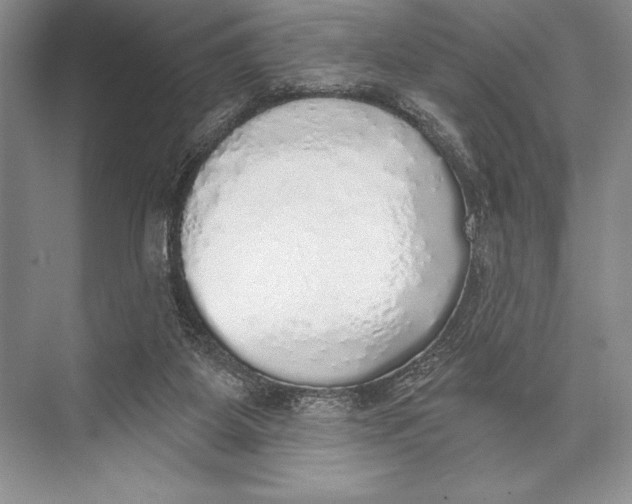 X0000074960115200609221807