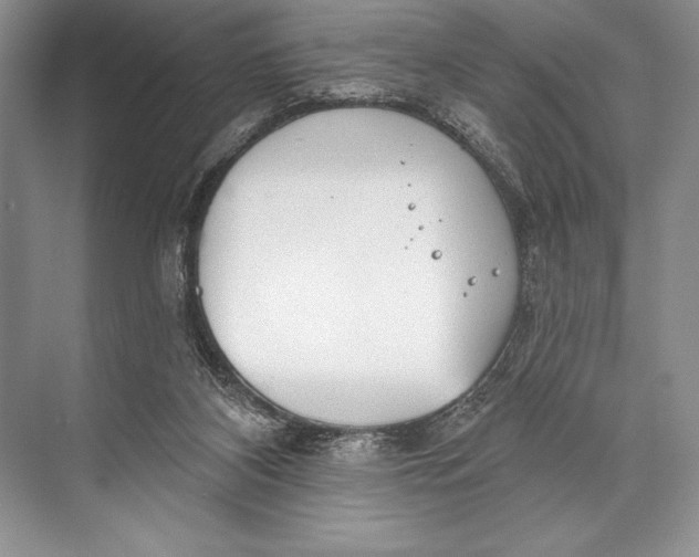 X0000074960116200609221807