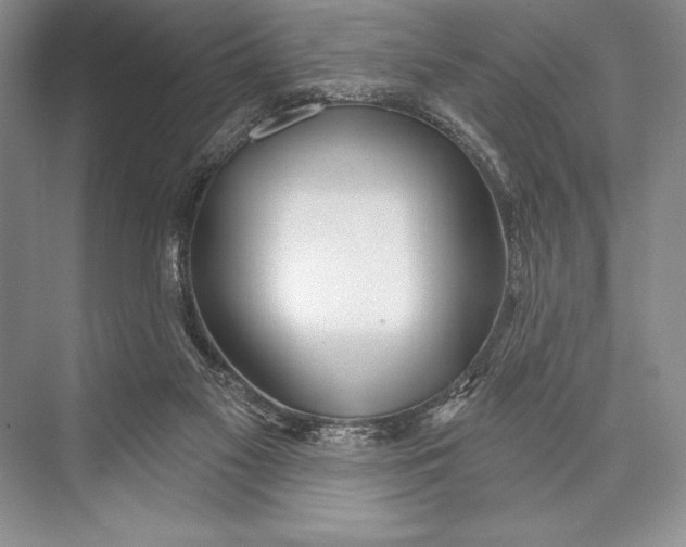 X0000074960117200609221807