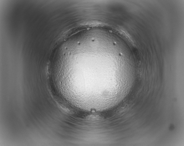 X0000074960119200609221807