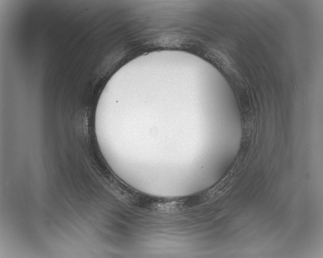 X0000074960120200609221807