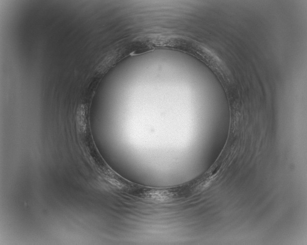 X0000074960121200609221807