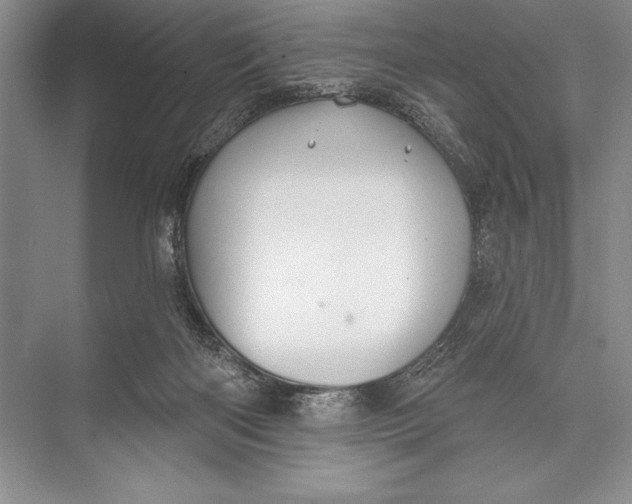 X0000074960122200609221807