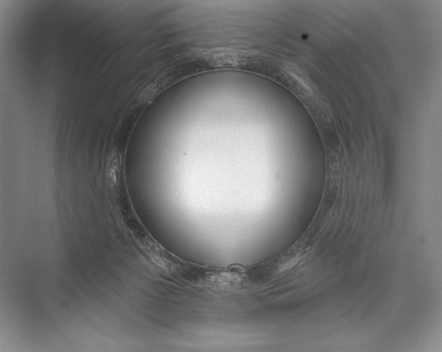 X0000074960125200609221807