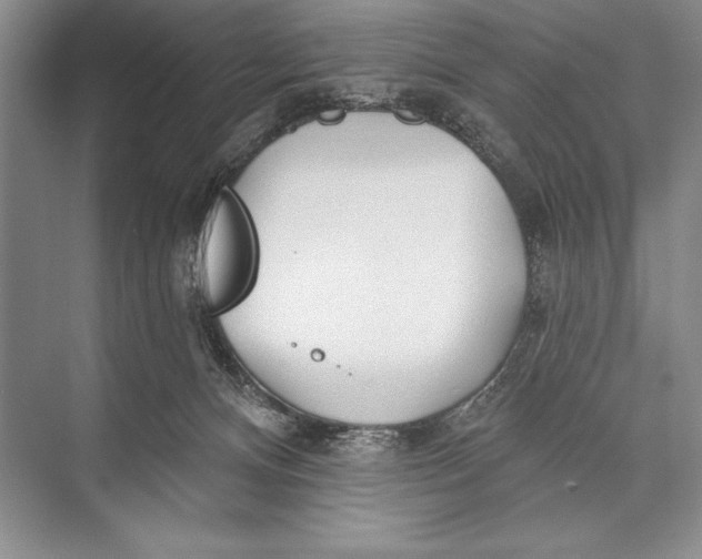 X0000074960128200609221807