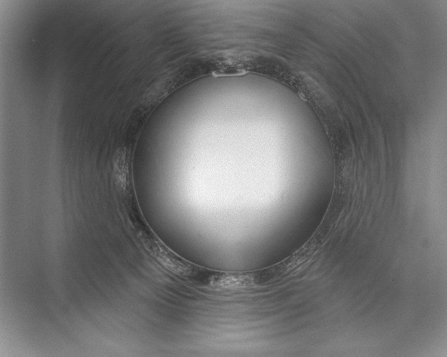 X0000074960129200609221807