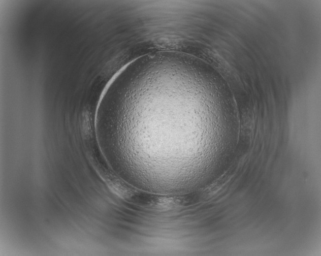 X0000074960130200609221807