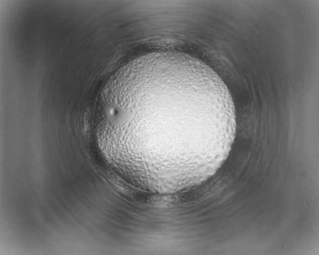 X0000074960131200609221807