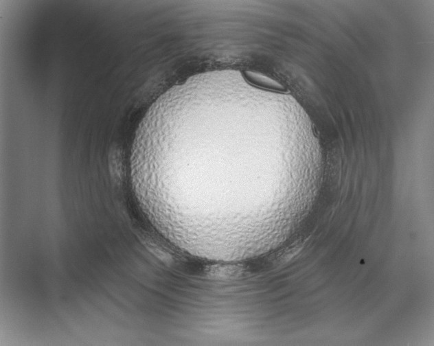 X0000074960135200609221807