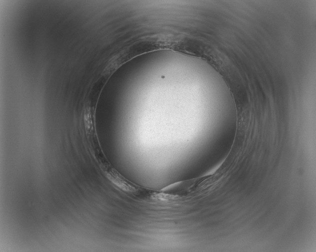 X0000074960137200609221807