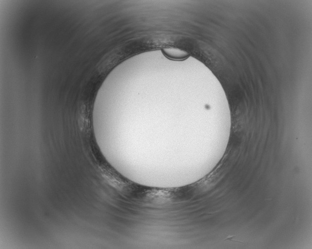 X0000074960140200609221807