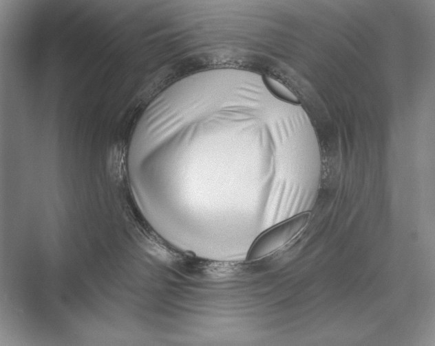 X0000074960142200609221807