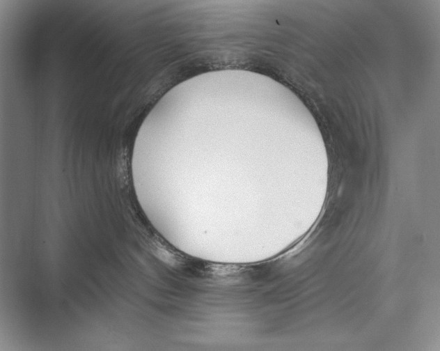 X0000074960144200609221806