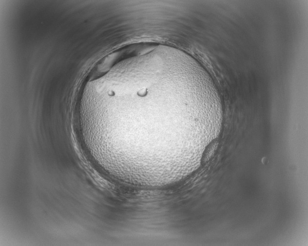 X0000074960145200609221806