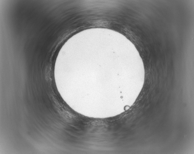 X0000074960146200609221806