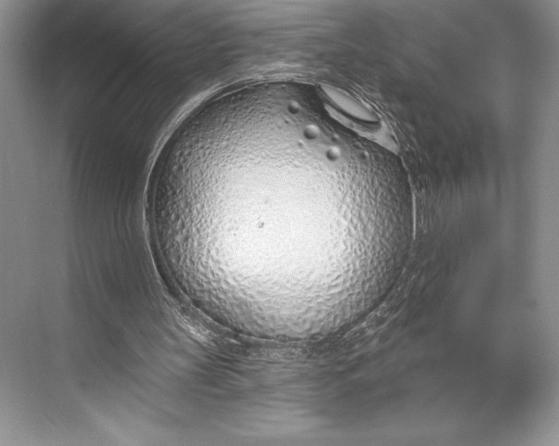 X0000074960147200609221806