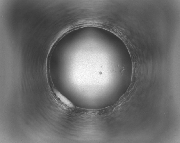 X0000074960148200609221806