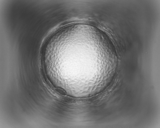 X0000074960149200609221806