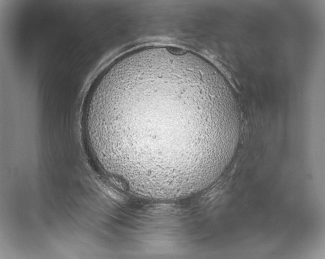 X0000074960151200609221806