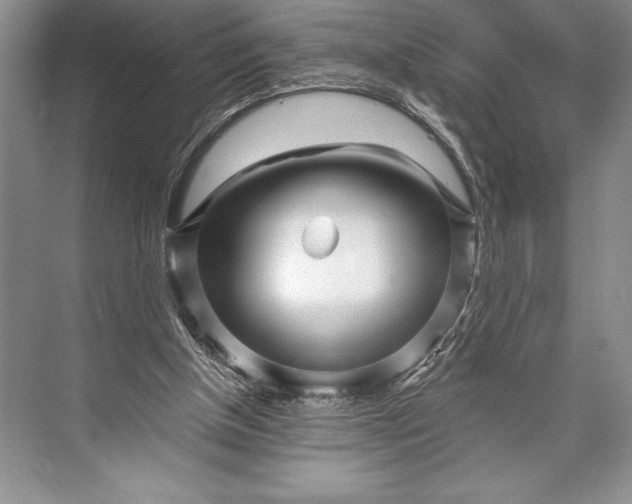 X0000074960154200609221806