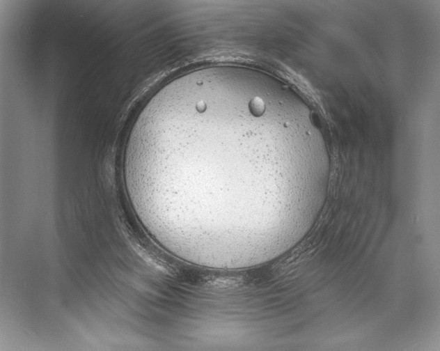 X0000074960155200609221806