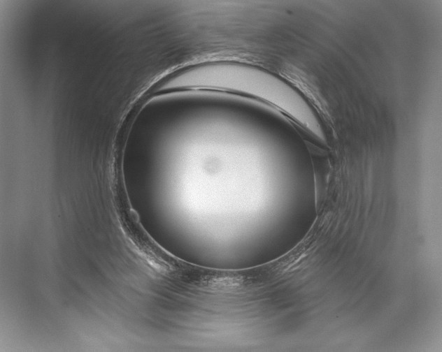 X0000074960156200609221806