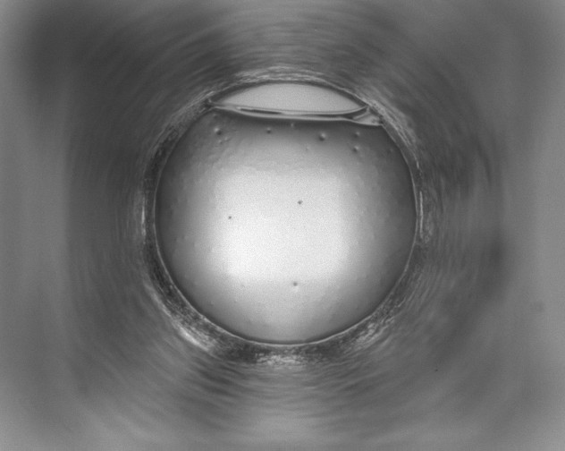 X0000074960157200609221806