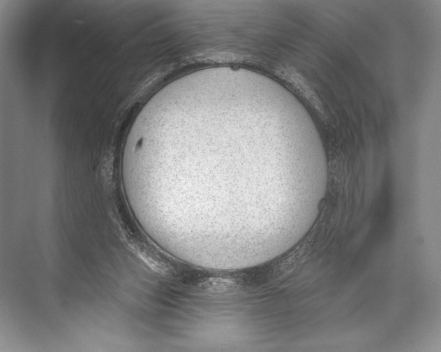 X0000074960159200609221806