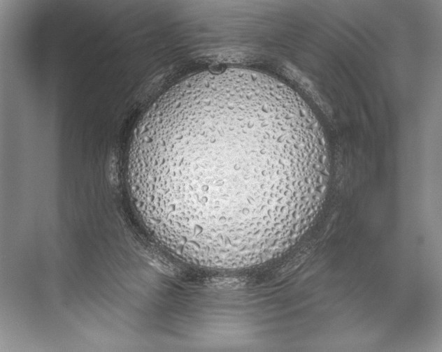 X0000074960161200609221806