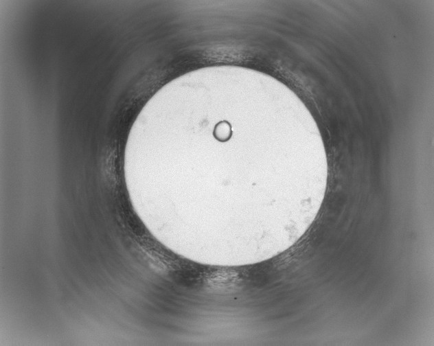 X0000074960162200609221806