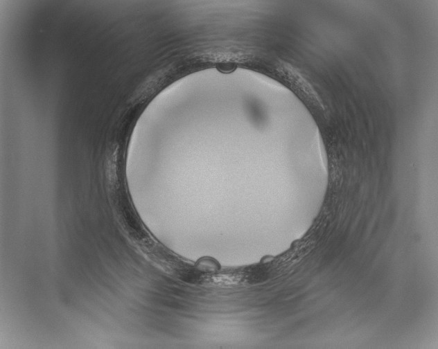 X0000074960163200609221806