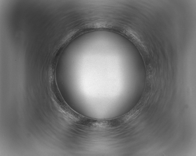 X0000074960164200609221806