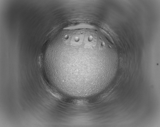 X0000074960165200609221806