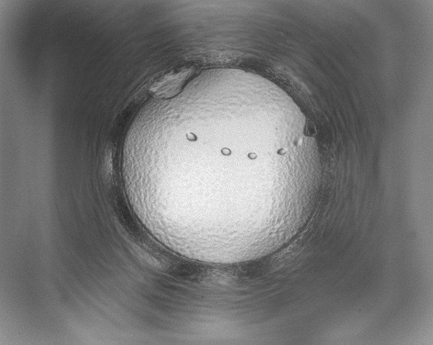 X0000074960166200609221806