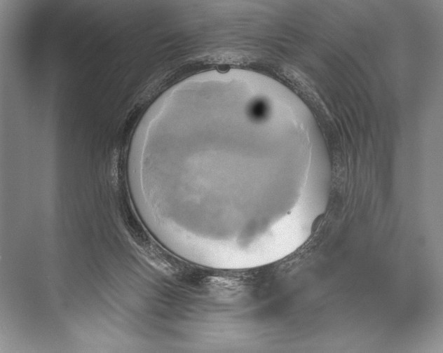 X0000074960167200609221806